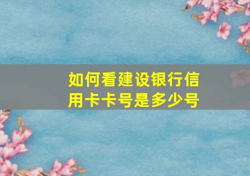 如何看建设银行信用卡卡号是多少号