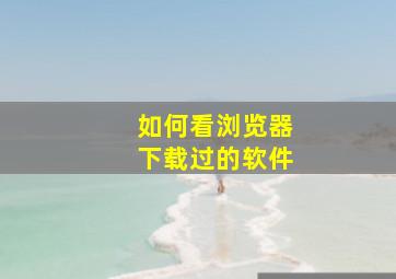 如何看浏览器下载过的软件