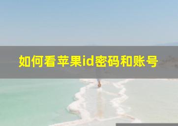 如何看苹果id密码和账号