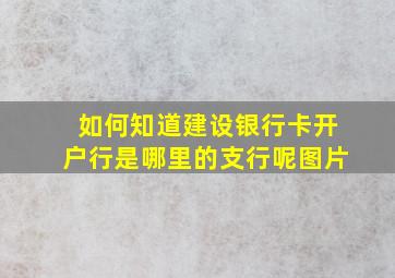 如何知道建设银行卡开户行是哪里的支行呢图片