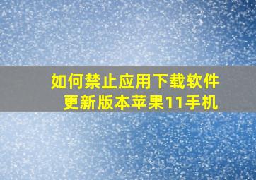 如何禁止应用下载软件更新版本苹果11手机