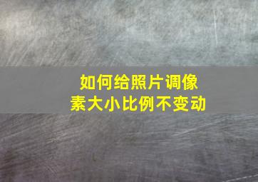 如何给照片调像素大小比例不变动