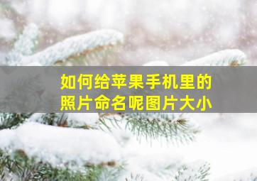 如何给苹果手机里的照片命名呢图片大小