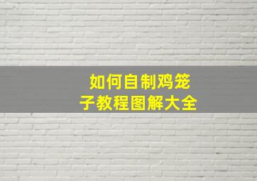 如何自制鸡笼子教程图解大全