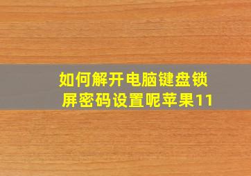 如何解开电脑键盘锁屏密码设置呢苹果11