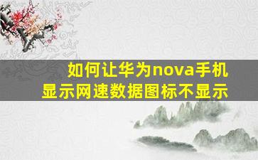 如何让华为nova手机显示网速数据图标不显示