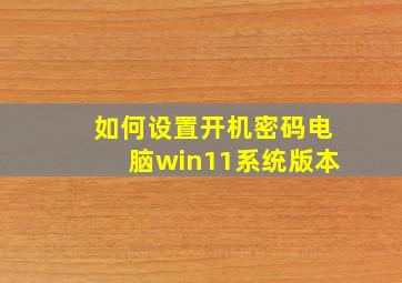 如何设置开机密码电脑win11系统版本