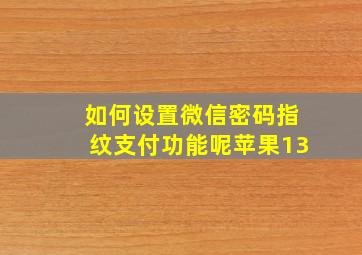 如何设置微信密码指纹支付功能呢苹果13