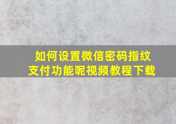 如何设置微信密码指纹支付功能呢视频教程下载