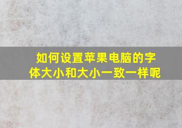 如何设置苹果电脑的字体大小和大小一致一样呢