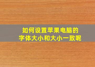 如何设置苹果电脑的字体大小和大小一致呢