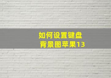 如何设置键盘背景图苹果13