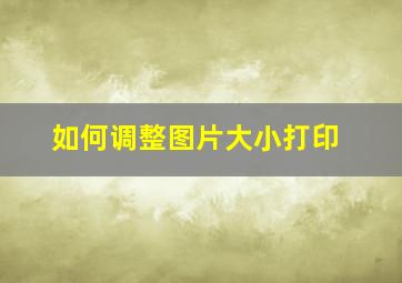 如何调整图片大小打印