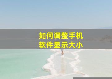 如何调整手机软件显示大小