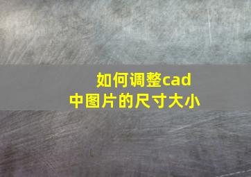 如何调整cad中图片的尺寸大小