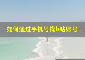 如何通过手机号找b站账号