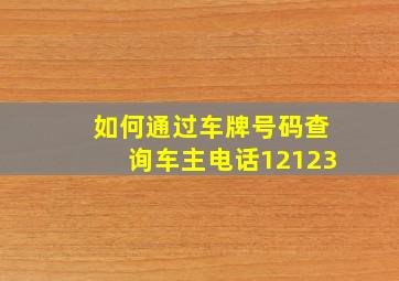 如何通过车牌号码查询车主电话12123