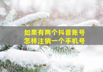 如果有两个抖音账号怎样注销一个手机号