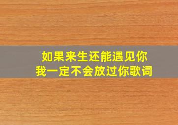 如果来生还能遇见你我一定不会放过你歌词