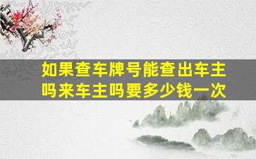 如果查车牌号能查出车主吗来车主吗要多少钱一次