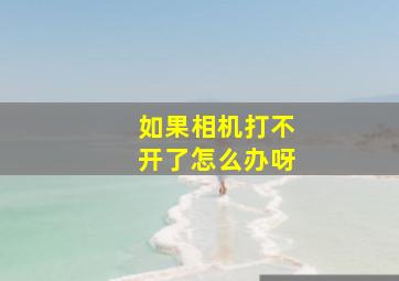 如果相机打不开了怎么办呀