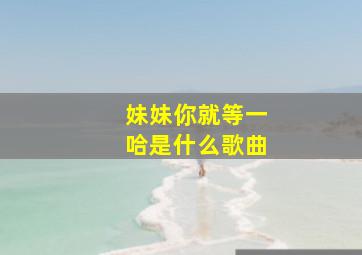 妹妹你就等一哈是什么歌曲