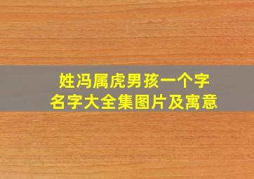 姓冯属虎男孩一个字名字大全集图片及寓意