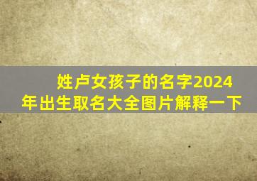 姓卢女孩子的名字2024年出生取名大全图片解释一下