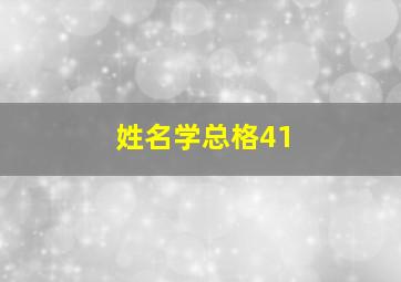 姓名学总格41