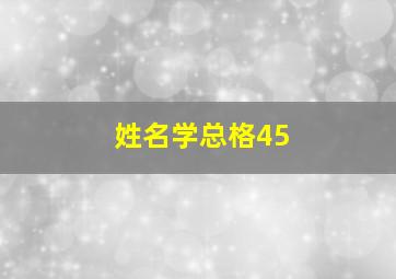 姓名学总格45