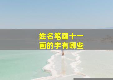 姓名笔画十一画的字有哪些