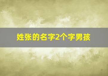 姓张的名字2个字男孩