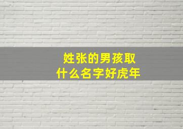 姓张的男孩取什么名字好虎年