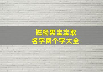 姓杨男宝宝取名字两个字大全