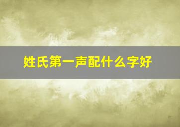 姓氏第一声配什么字好