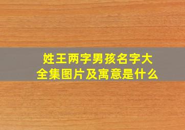 姓王两字男孩名字大全集图片及寓意是什么