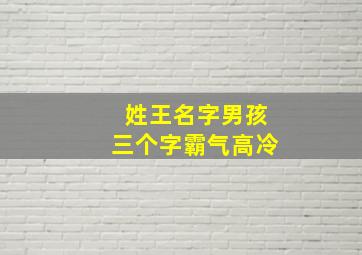 姓王名字男孩三个字霸气高冷