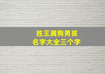 姓王属狗男孩名字大全三个字