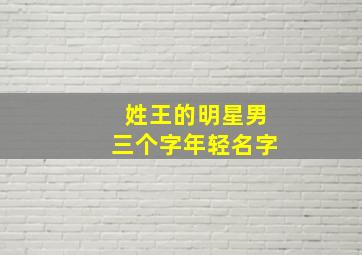 姓王的明星男三个字年轻名字