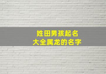 姓田男孩起名大全属龙的名字