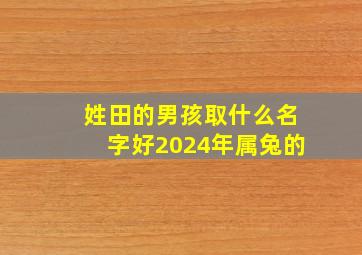 姓田的男孩取什么名字好2024年属兔的