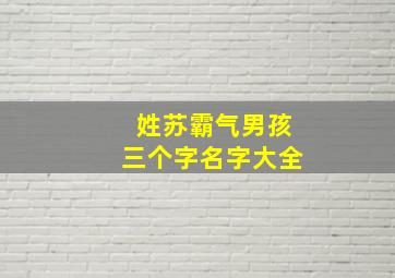 姓苏霸气男孩三个字名字大全