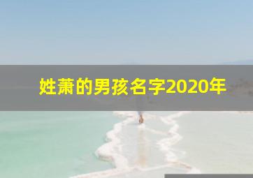 姓萧的男孩名字2020年