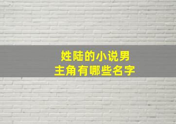 姓陆的小说男主角有哪些名字