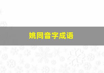 姚同音字成语