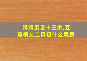 娉娉袅袅十三余,豆蔻梢头二月初什么意思