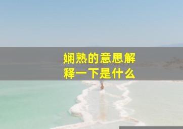 娴熟的意思解释一下是什么