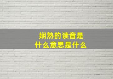 娴熟的读音是什么意思是什么