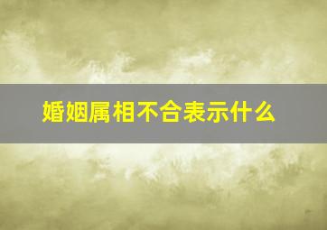 婚姻属相不合表示什么