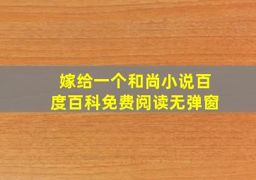 嫁给一个和尚小说百度百科免费阅读无弹窗